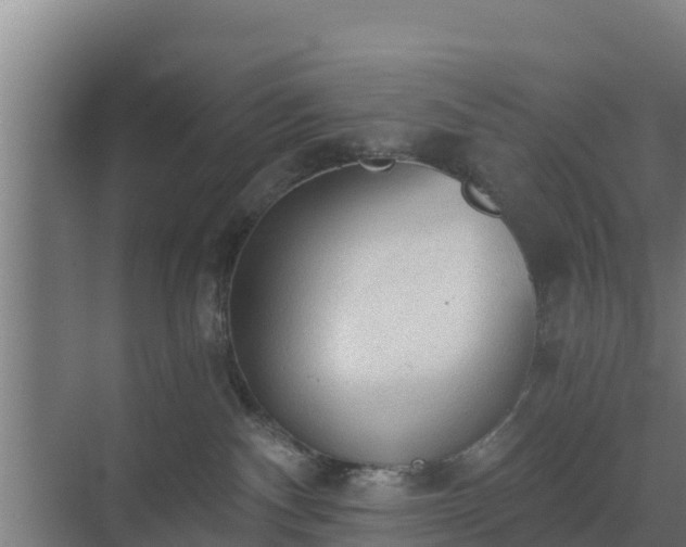 X0000069810140200605261758