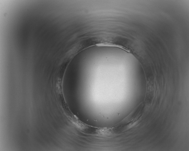 X0000069810141200605261758