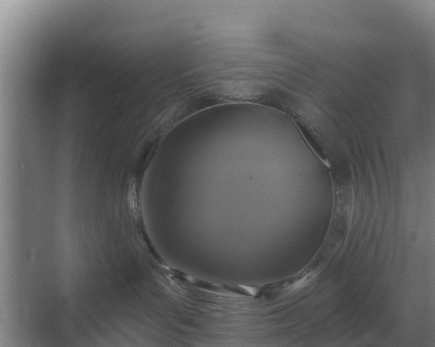 X0000069810143200605261758