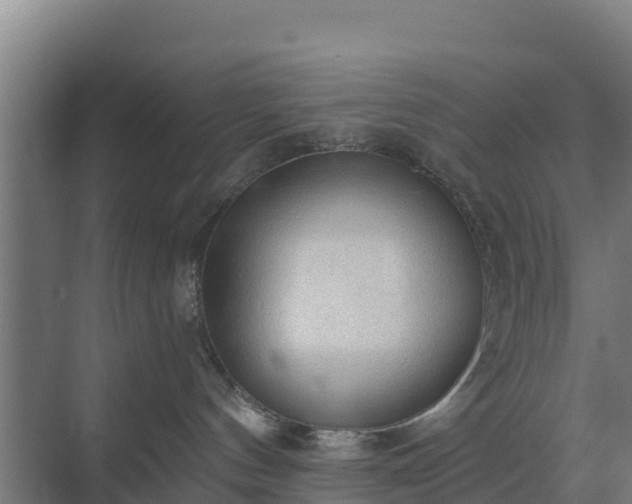 X0000069810144200605261758