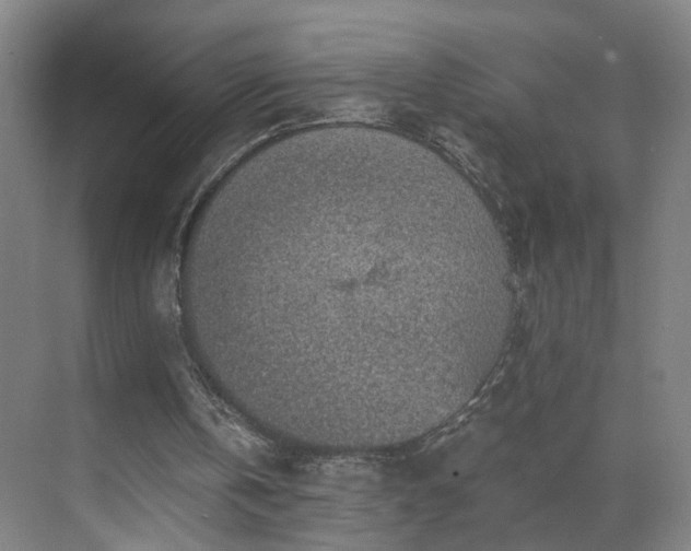 X0000069810146200605261757