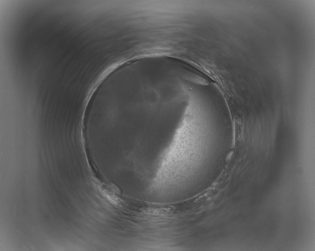 X0000069810147200605261757