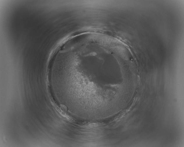 X0000069810149200605261757