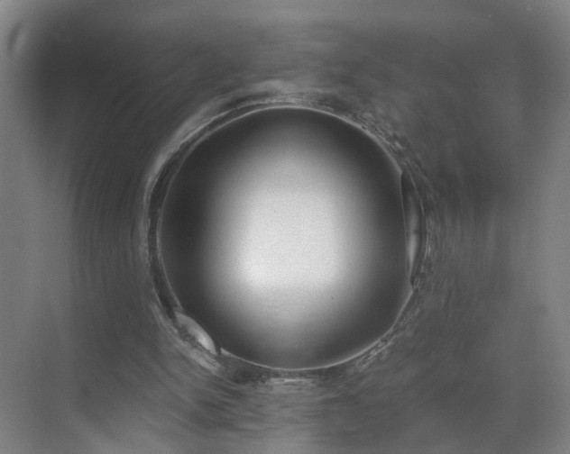 X0000069810150200605261757