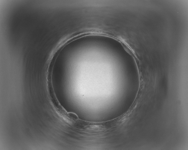 X0000069810151200605261757