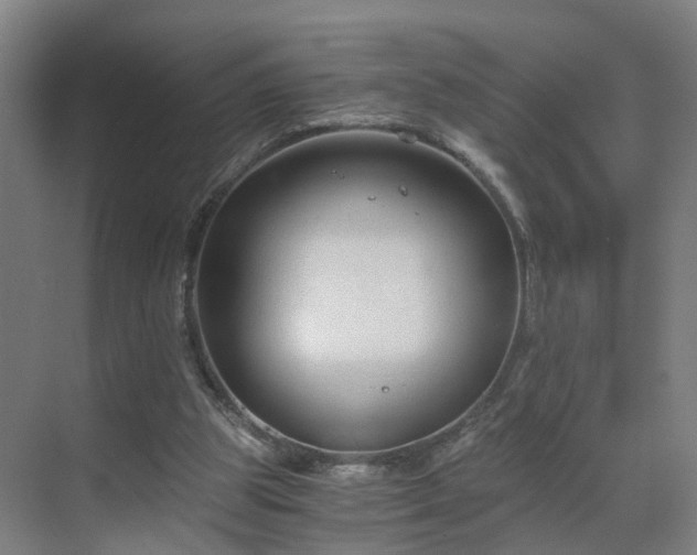 X0000069810153200605261757