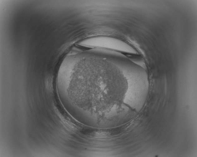 X0000069810154200605261757