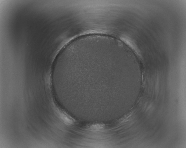 X0000069810156200605261757