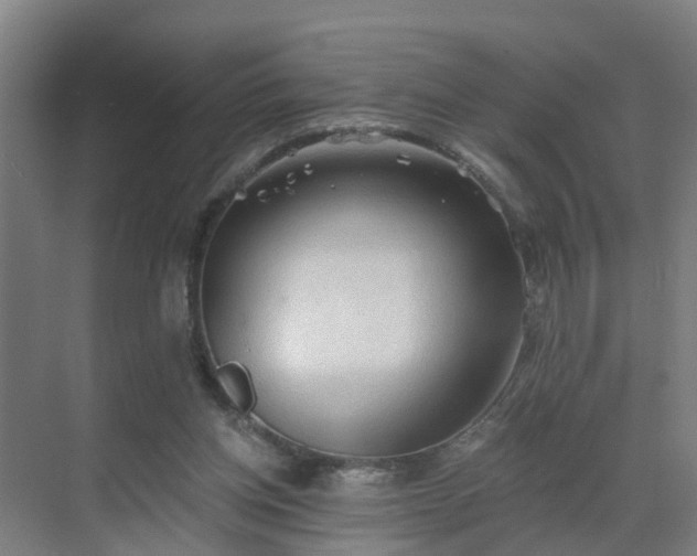 X0000069810158200605261757