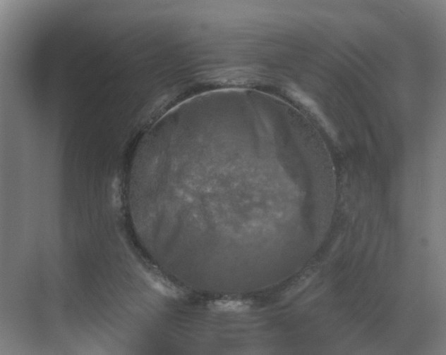 X0000069810161200605261757