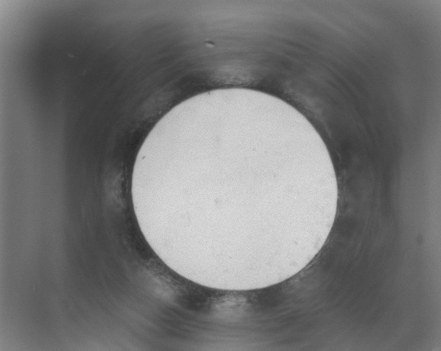 X0000069810162200605261757