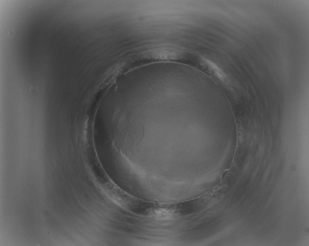 X0000069810163200605261757