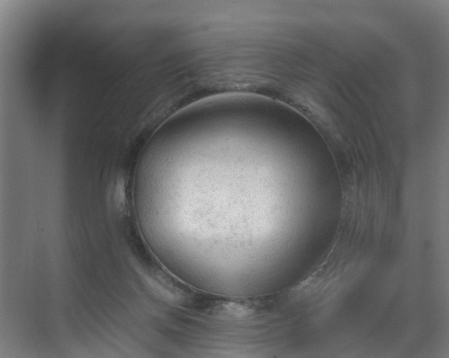 X0000069810166200605261758