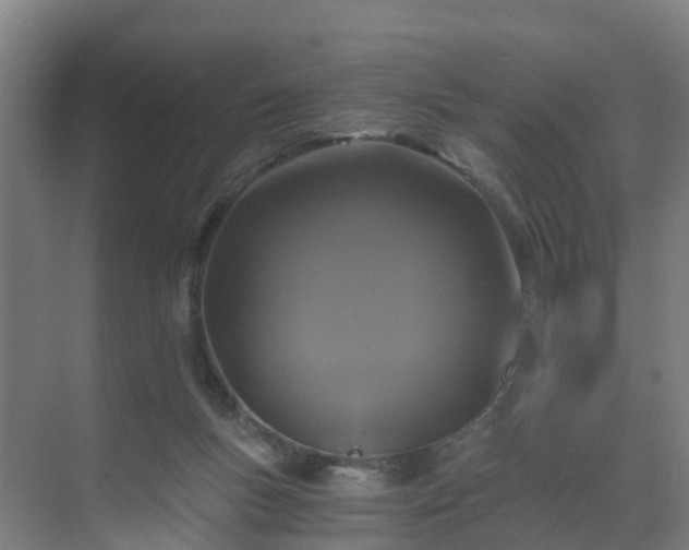 X0000069810167200605261758