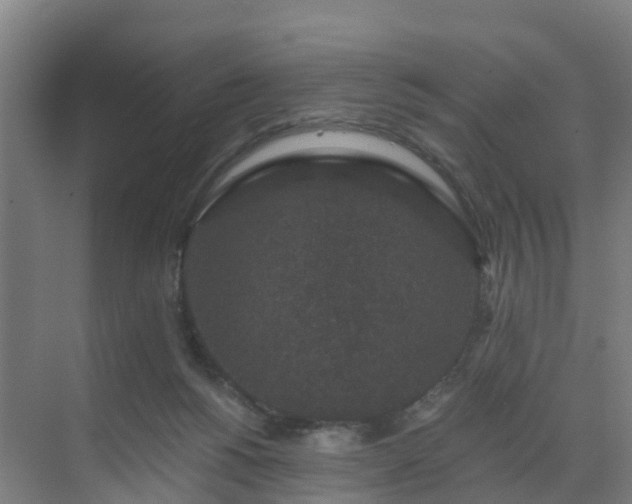 X0000069810168200605261758