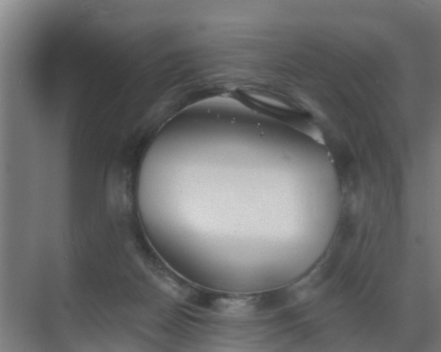 X0000069810170200605261758