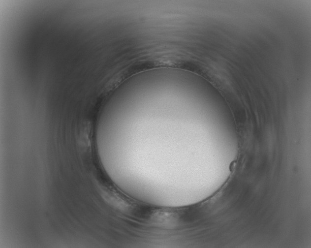 X0000069810174200605261758