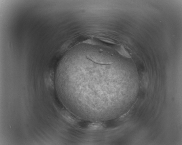 X0000069810175200605261758