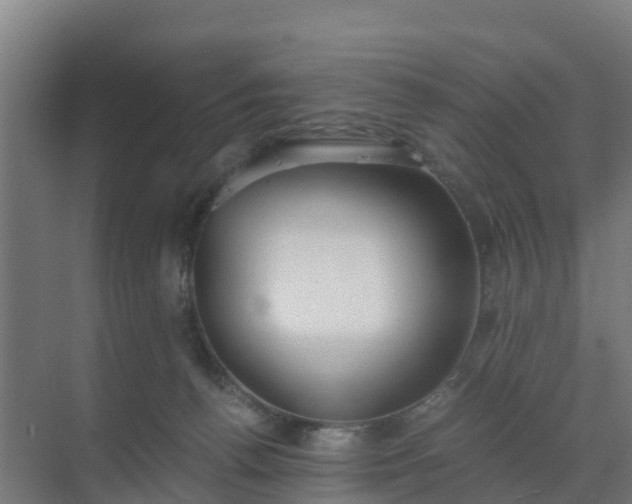 X0000069810176200605261758