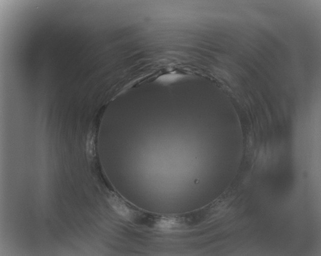 X0000069810177200605261758