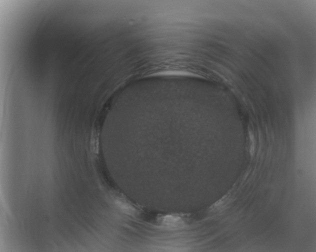 X0000069810180200605261758