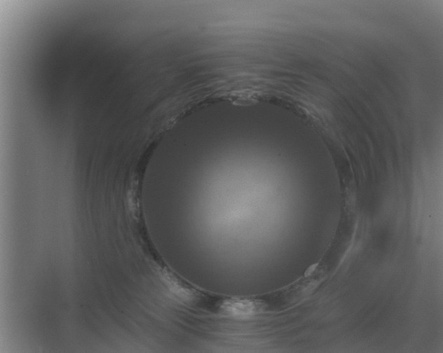 X0000069810181200605261758