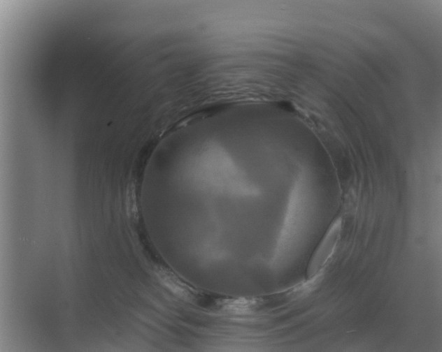 X0000069810182200605261758