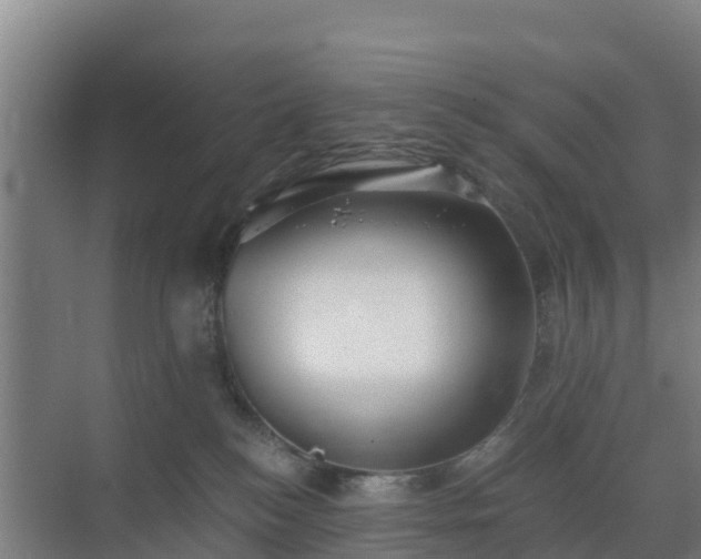 X0000069810184200605261758