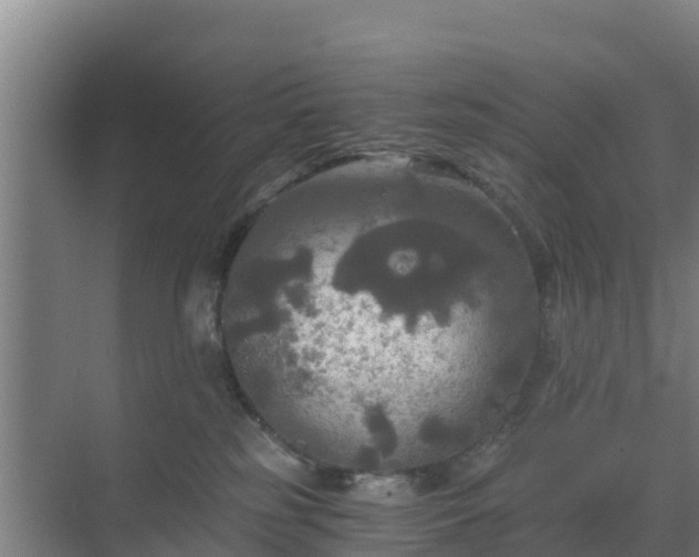 X0000069810185200605261758