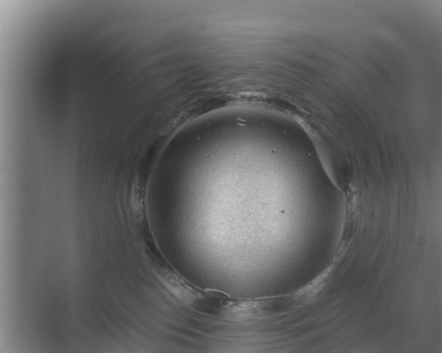 X0000069810186200605261758