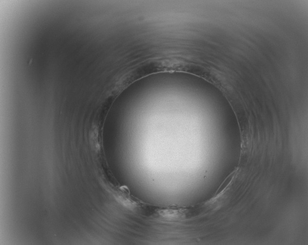 X0000069810187200605261758