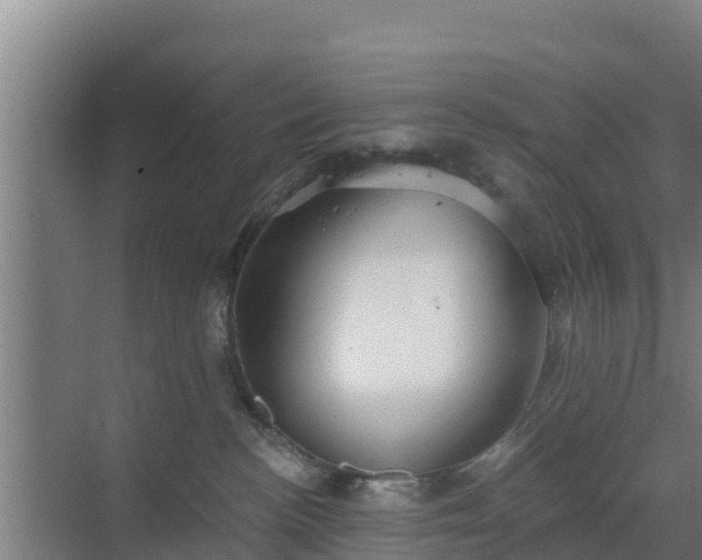 X0000069810188200605261758