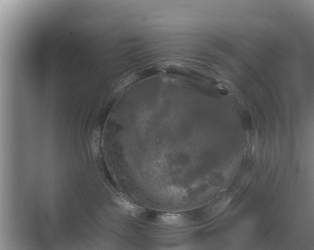 X0000069810189200605261758