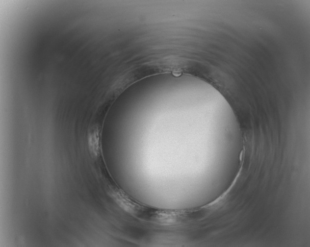 X0000069810190200605261758