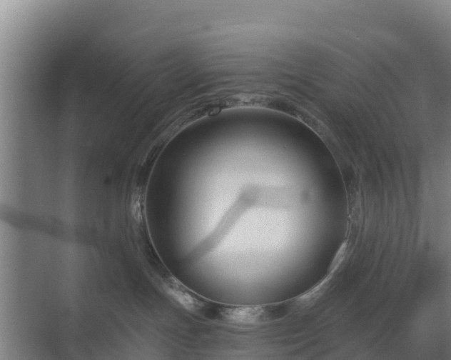 X0000069810191200605261758