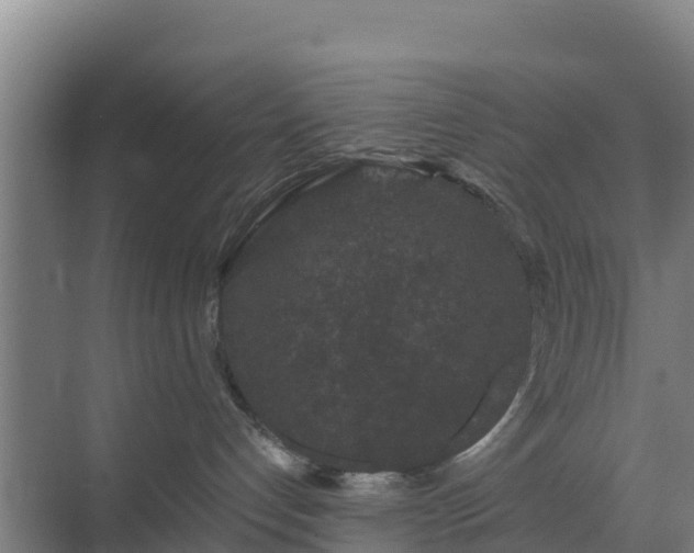 X0000069810192200605261758