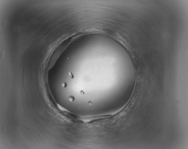 X0000069810193200605261757