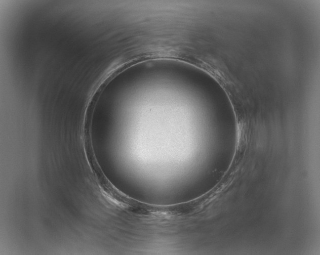 X0000069810195200605261757