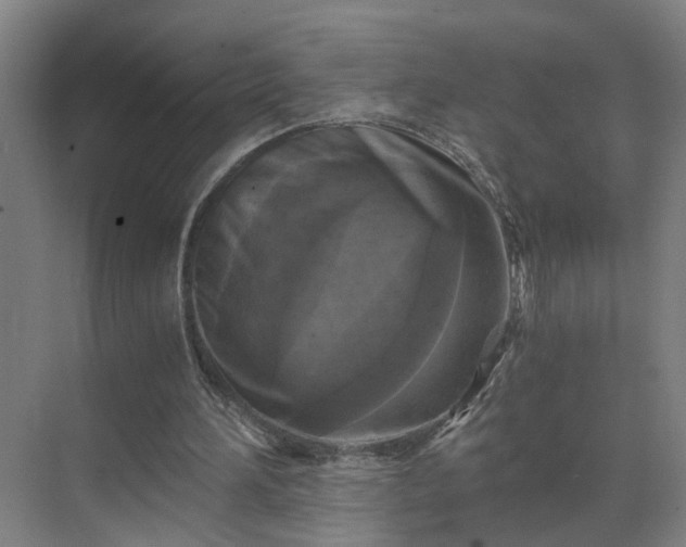 X0000069810196200605261757