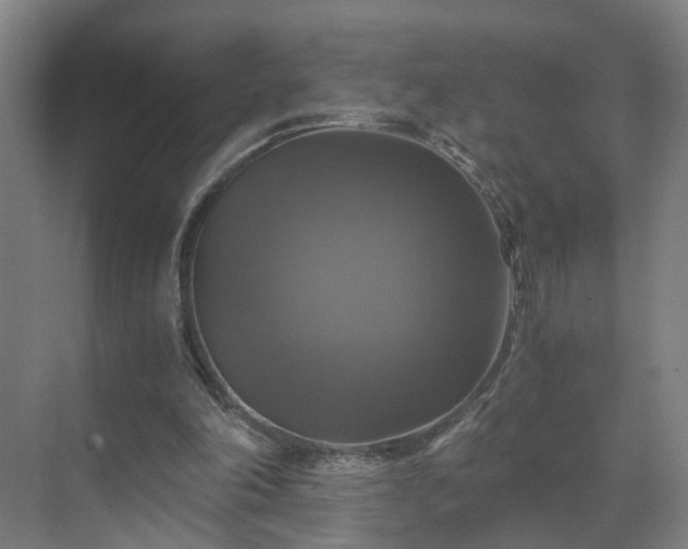 X0000069810198200605261757