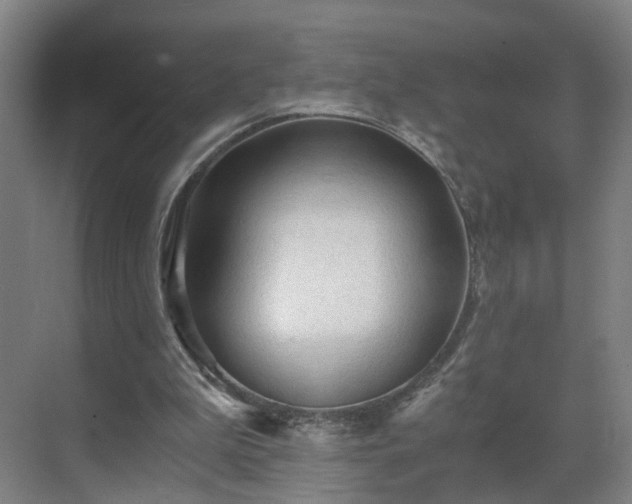 X0000069810199200605261757