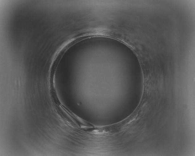 X0000069810200200605261757