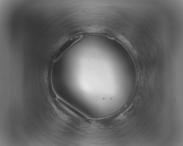 X0000069810201200605261757