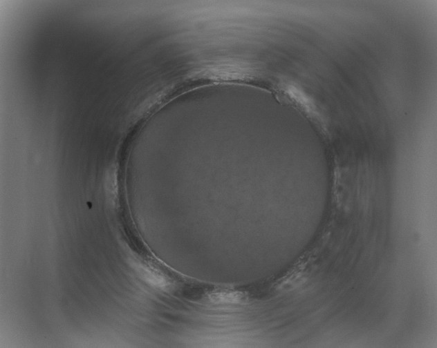 X0000069810202200605261757