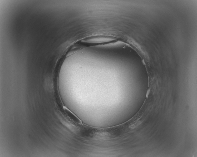 X0000069810203200605261757