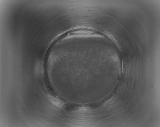 X0000069810204200605261757