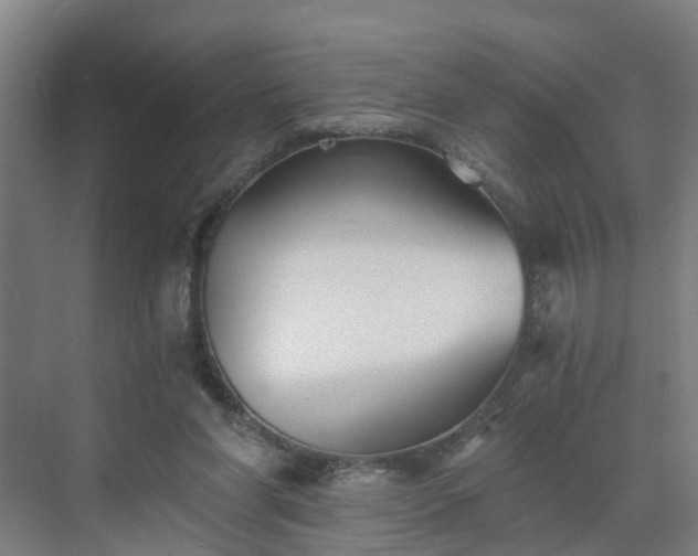 X0000069810206200605261757