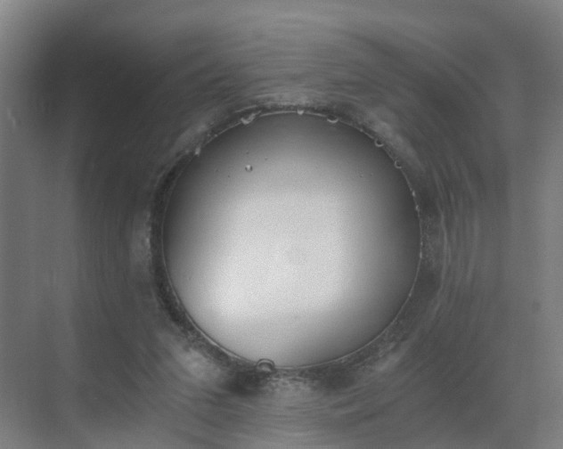 X0000069810207200605261757