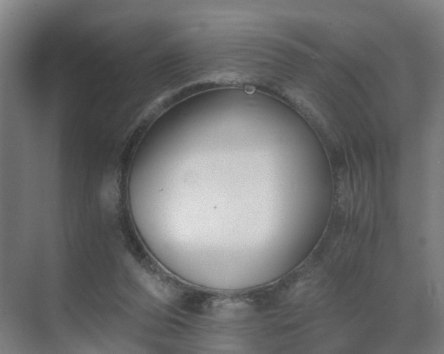 X0000069810208200605261757