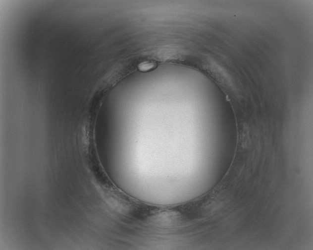 X0000069810210200605261757